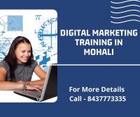 Digital Marketing Training in Mohali.jpg